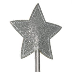 Silver glittery star-shaped object on a white background